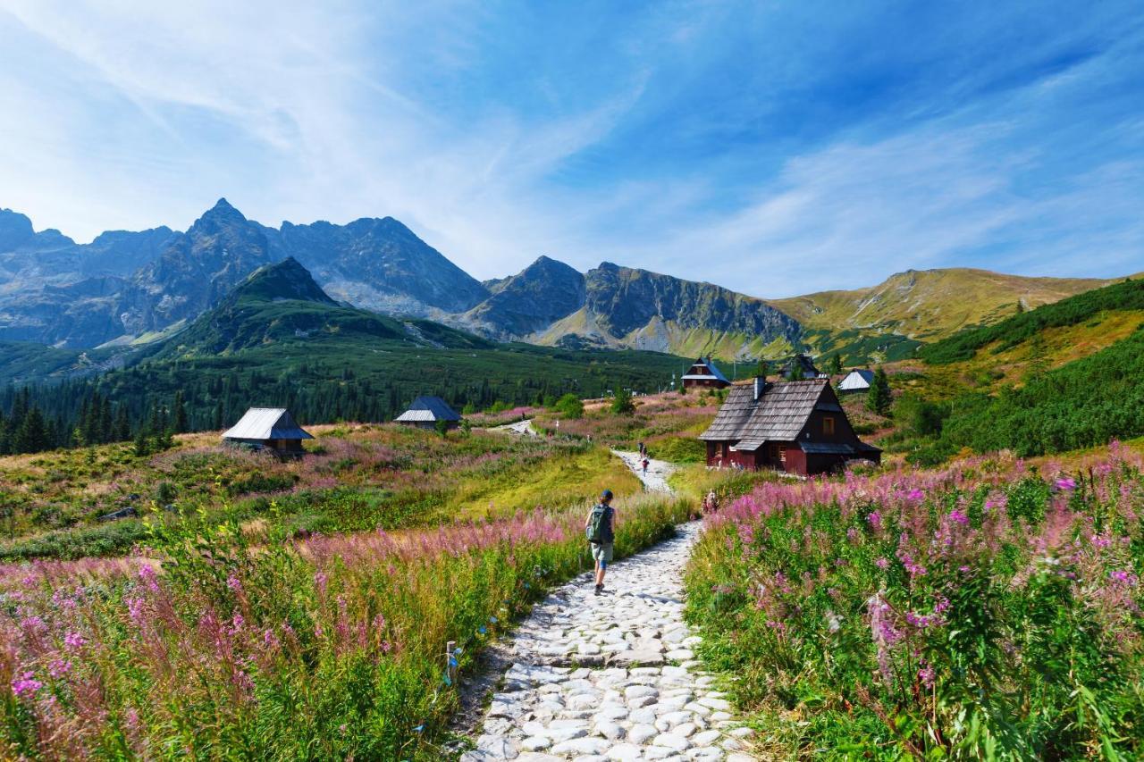 Zakopane - Apartament Chomikowka Ngoại thất bức ảnh