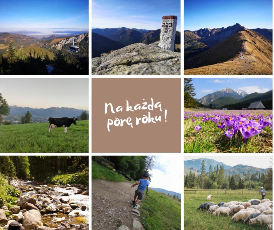 Zakopane - Apartament Chomikowka Ngoại thất bức ảnh